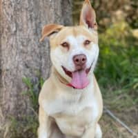 Photo of Zeke