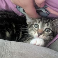 Photo of Jellybean