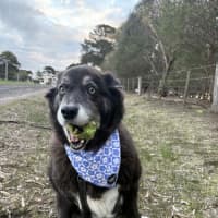 Photo of Susie