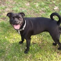 Photo of Freya