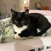 Photo of Theodore