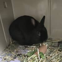 Photo of Cottage Cheese