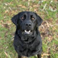 Photo of Conan 
