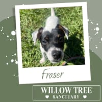 Photo of Fraser