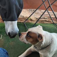 Photo of Missie