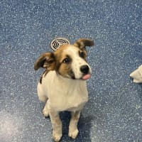 Photo of Sprout 