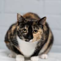Photo of Bonnie