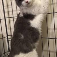 Photo of Rosie Dancer