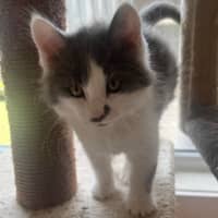 Photo of Mindy And Mork