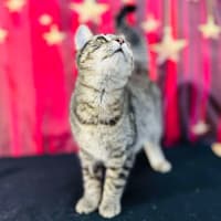 Photo of Giselle   Located In Preston 