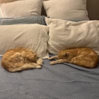 Photo of Eddie & Beryl