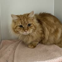 Photo of Bug
