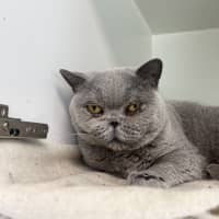 Photo of April Showers