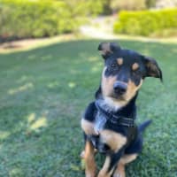 Photo of Stormy
