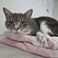 Photo of Tuki