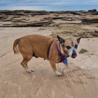 Photo of Winnie