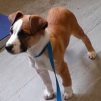 Photo of Rogue (Tuff)