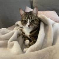 Photo of Little Miss & Yoyo