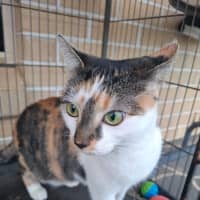 Photo of Hazel