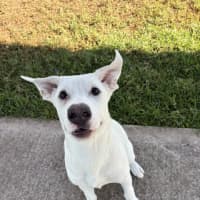 Photo of Esky
