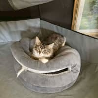 Photo of Tufty And Tiny