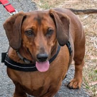 Photo of Harry / Sally