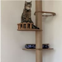 Photo of King