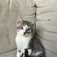 Photo of Penny & Gavin 