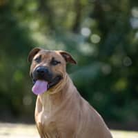 Photo of Shayla