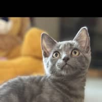 Photo of Titten Meet Me@Petstock Mornington Store Nepean Hwy