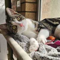 Photo of Gracie