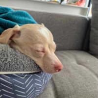 Photo of Doug