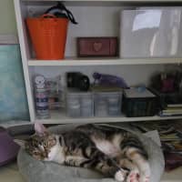 Photo of Wanda