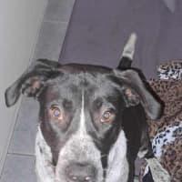 Photo of Tess Tickles