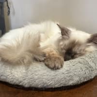 Photo of Sid And Nancy