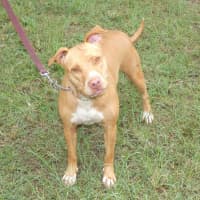 Photo of Coco