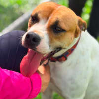 Photo of Molly