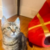 Photo of Winnie