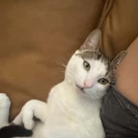 Photo of Duke