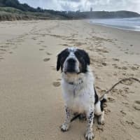 Photo of Otis