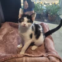 Photo of Esmeralda Joy