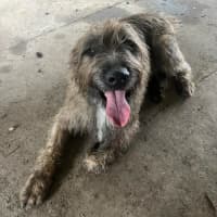 Photo of Murphy