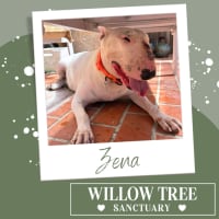 Photo of Zena