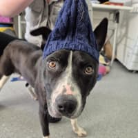 Photo of Kenny! 🤍🖤