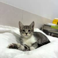 Photo of Ziggy