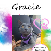 Photo of Gracie