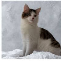 Photo of Hallie