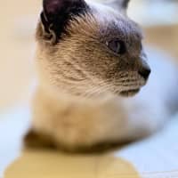 Photo of Audrey