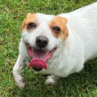 Photo of Zora