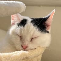 Photo of Lilly